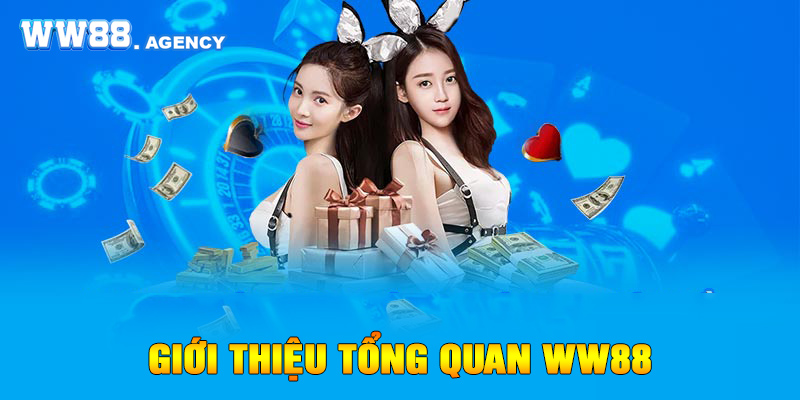 Tổng quan về nhà cái WW88